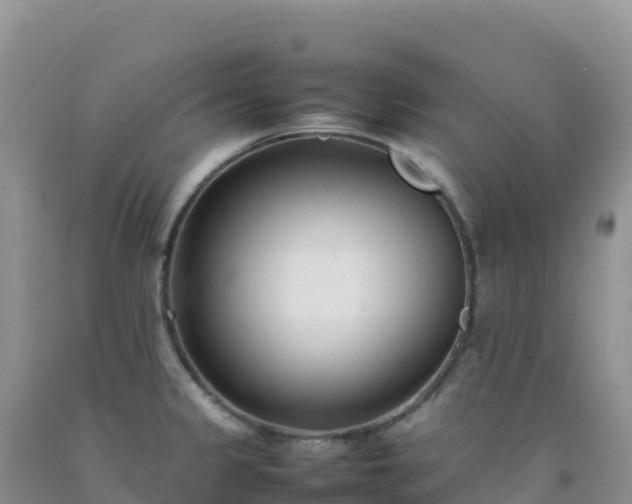 X0000092101333200709191258