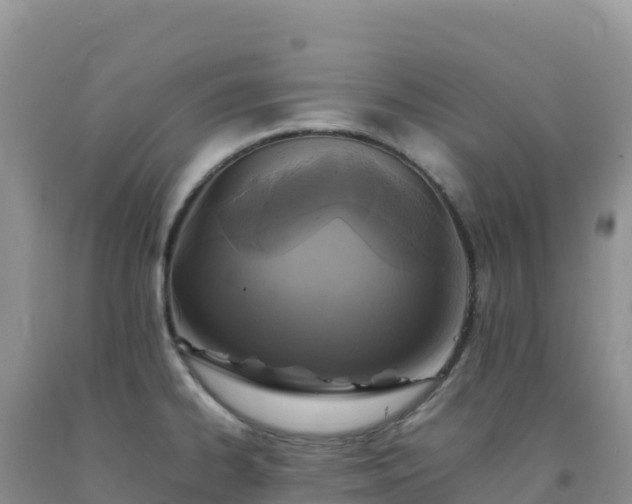 X0000092101334200709191258