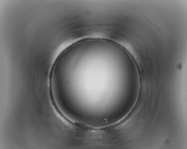 X0000092101335200709191258