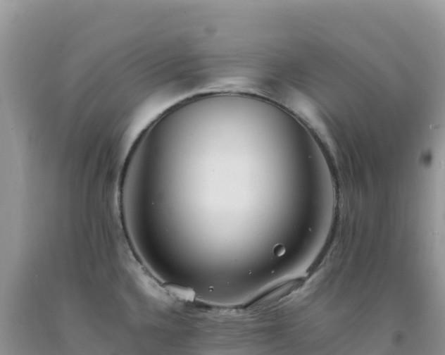 X0000092101336200709191258