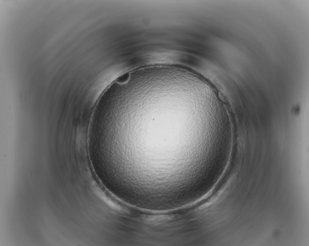 X0000092101337200709191258