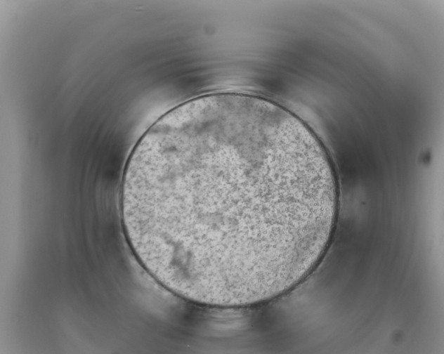 X0000092101338200709191258