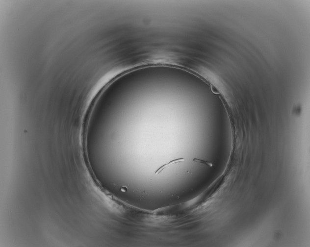 X0000092101339200709191258