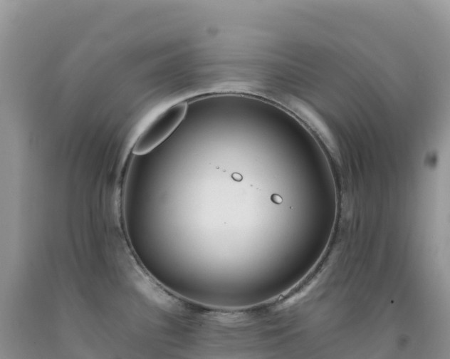 X0000092101340200709191258