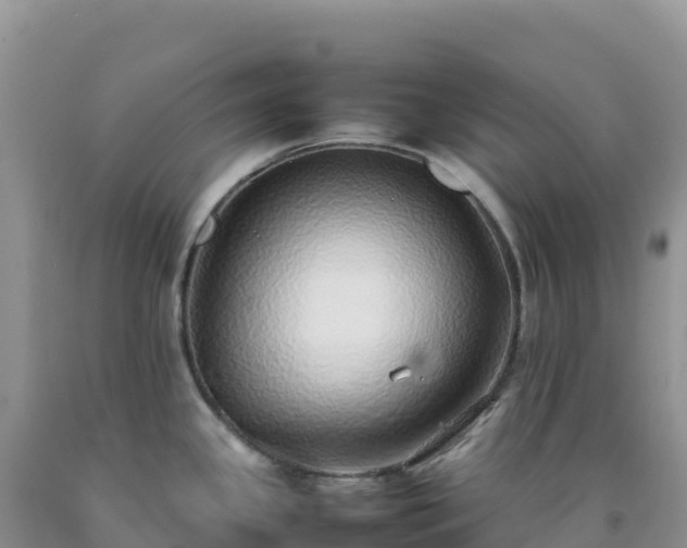 X0000092101341200709191258