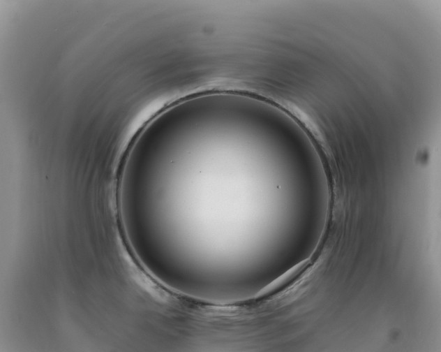 X0000092101342200709191258