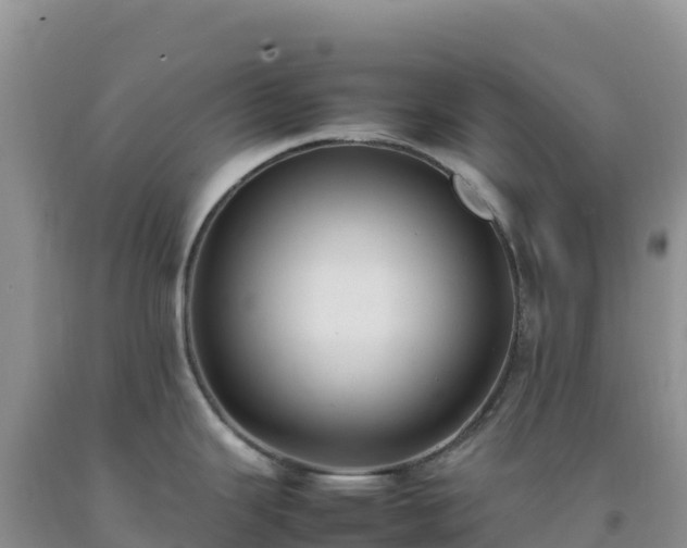 X0000092101343200709191258