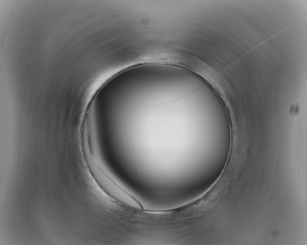 X0000092101344200709191259