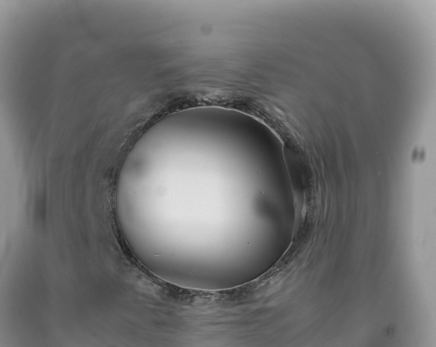 X0000092101345200709191258