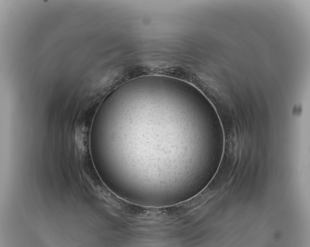 X0000092101346200709191258