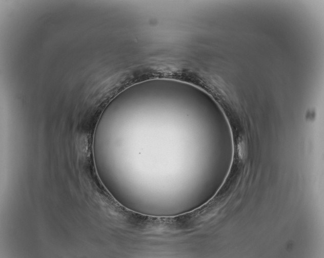 X0000092101347200709191258