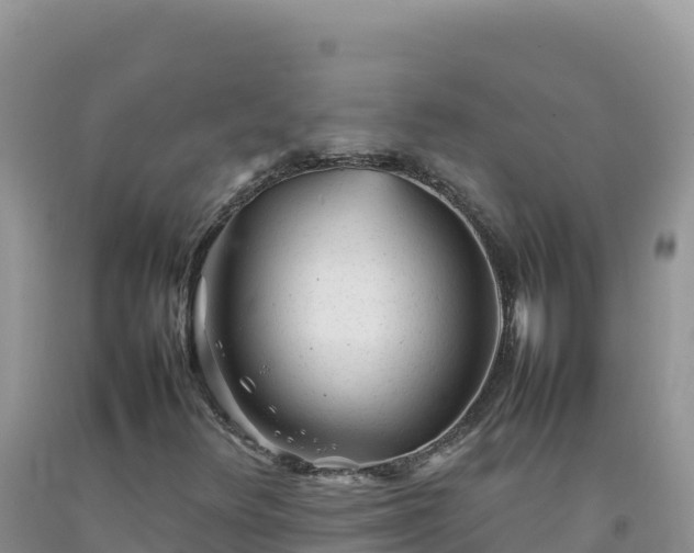 X0000092101348200709191258