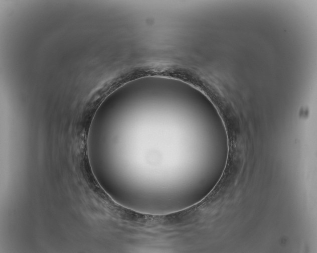 X0000092101349200709191258