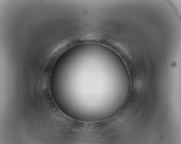 X0000092101350200709191258