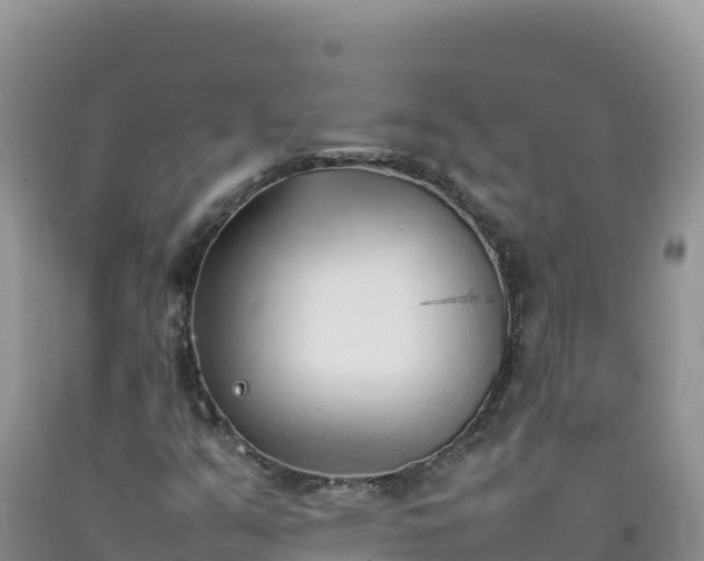 X0000092101351200709191258