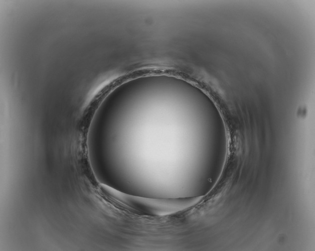 X0000092101352200709191258