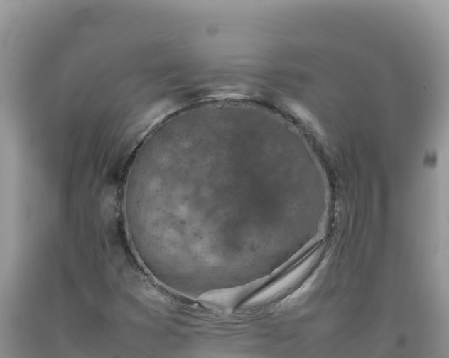 X0000092101353200709191258