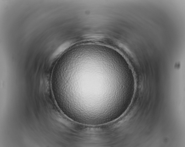 X0000092101354200709191257