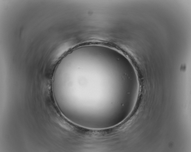 X0000092101355200709191257