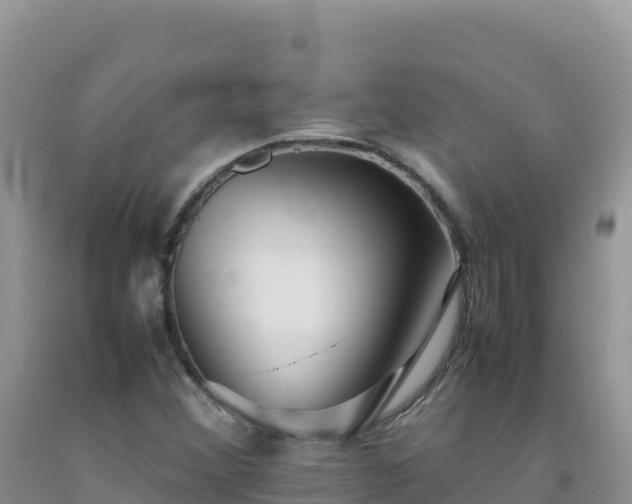 X0000092101356200709191257