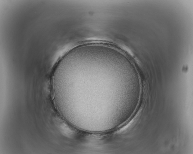 X0000092101357200709191257