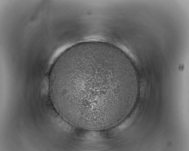 X0000092101358200709191257