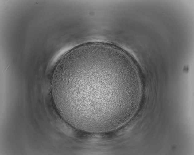 X0000092101359200709191257