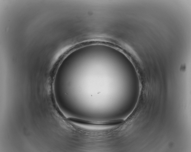 X0000092101360200709191257