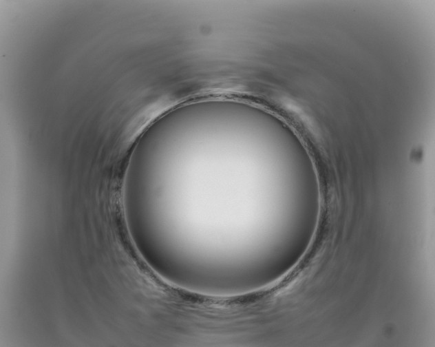 X0000092101361200709191257