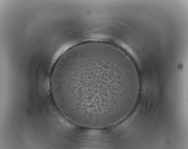 X0000092101362200709191257