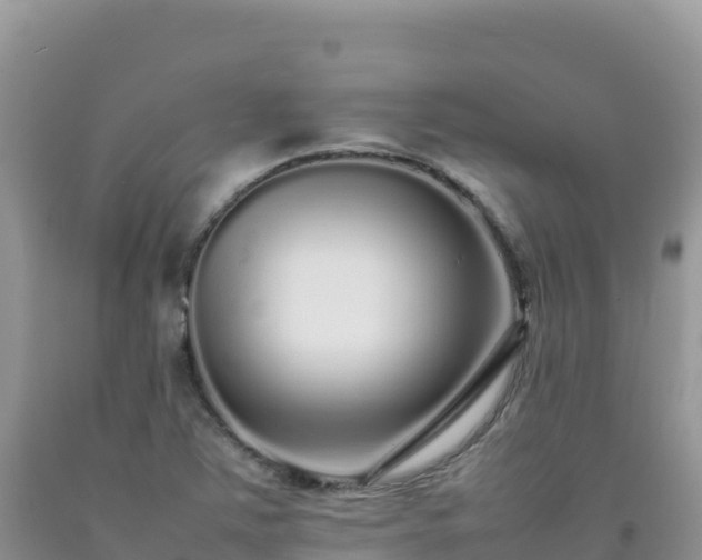 X0000092101363200709191257