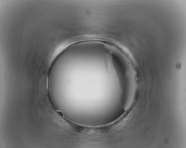 X0000092101365200709191257