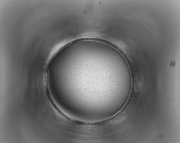 X0000092101366200709191257