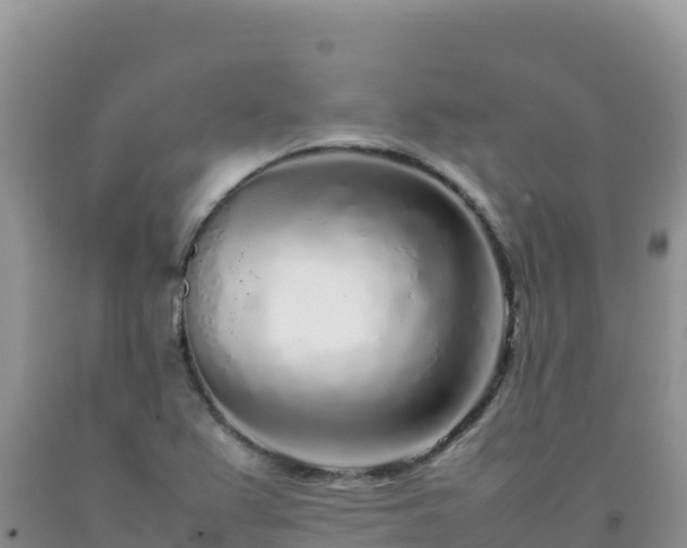 X0000092101367200709191257