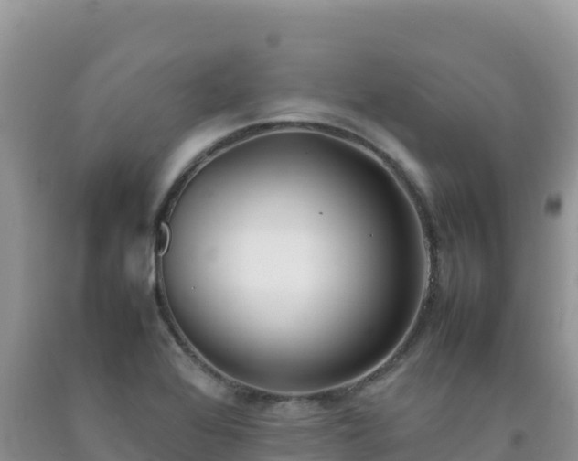 X0000092101368200709191257