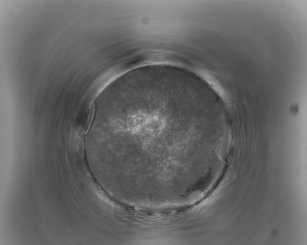 X0000092101369200709191257