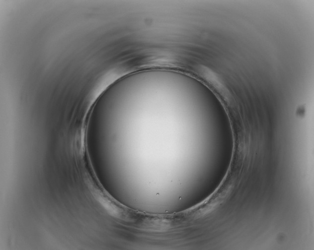 X0000092101370200709191257