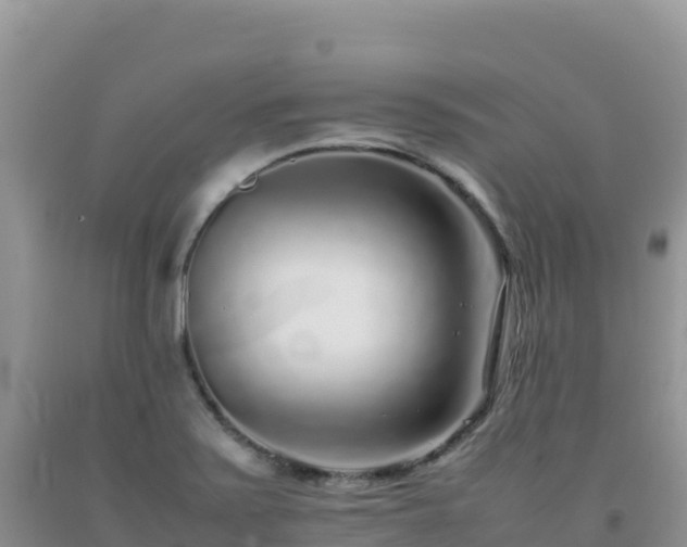 X0000092101371200709191257