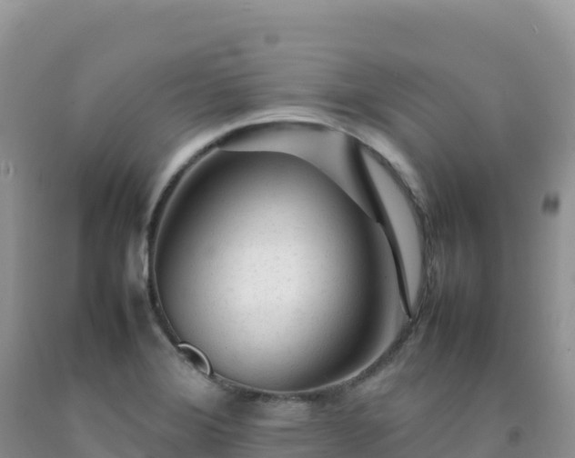 X0000092101372200709191257