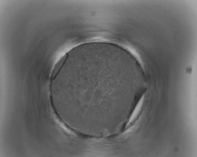 X0000092101373200709191257