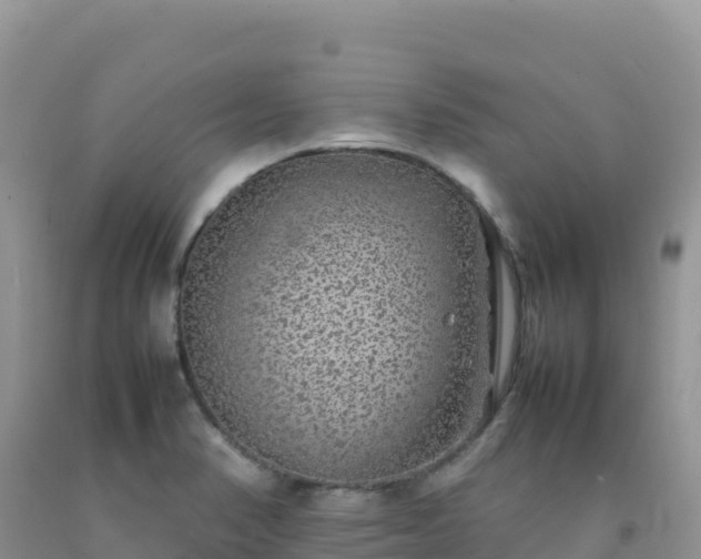 X0000092101374200709191257