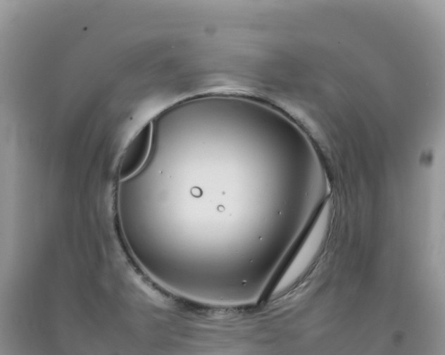 X0000092101375200709191257