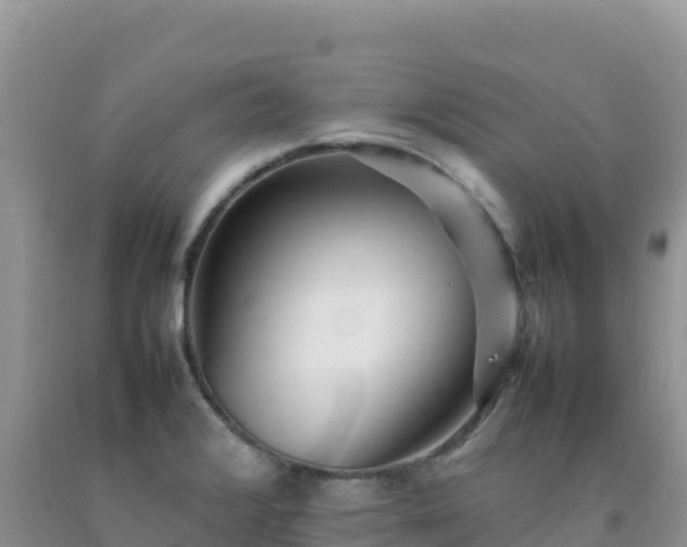 X0000092101376200709191257