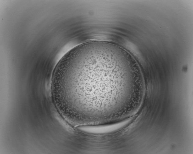 X0000092101378200709191257