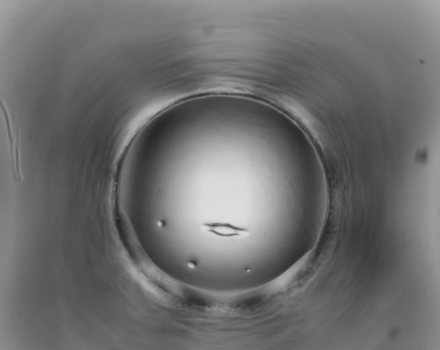 X0000092101379200709191257