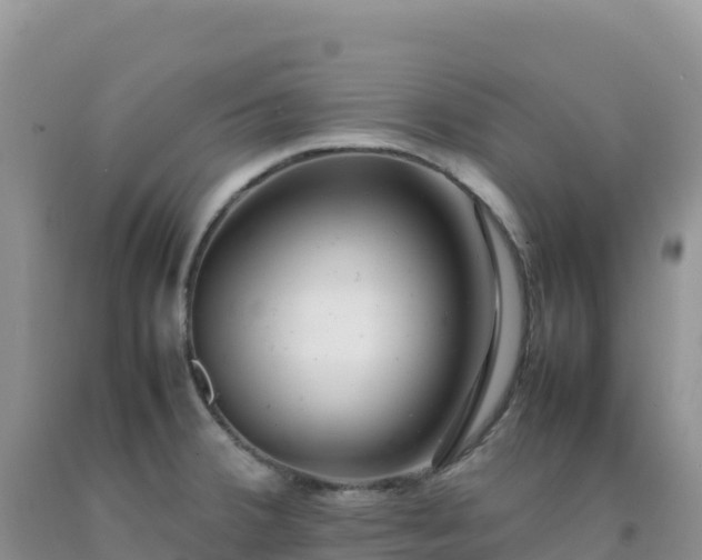 X0000092101380200709191257