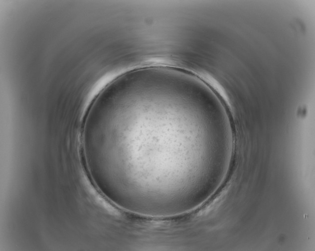 X0000092101381200709191257