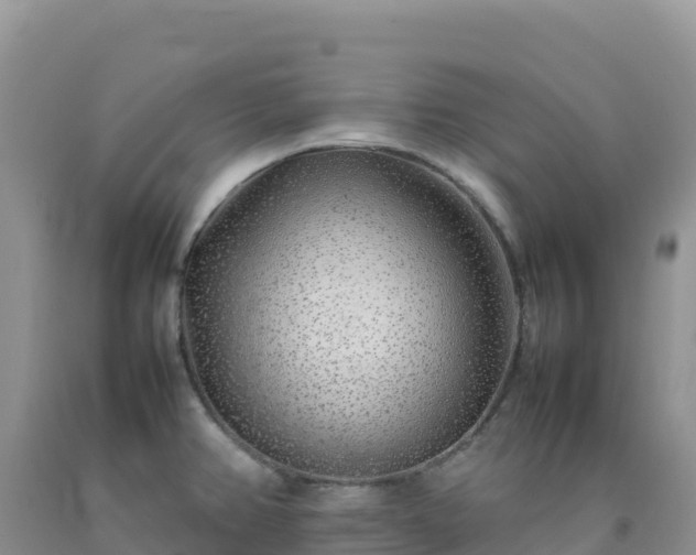 X0000092101382200709191257