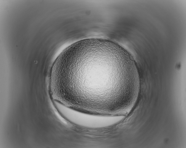 X0000092101383200709191257