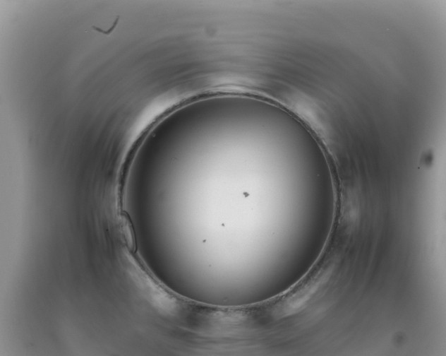 X0000092101384200709191257